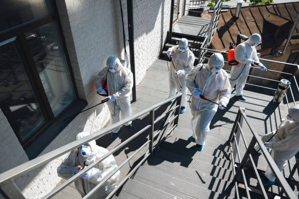 Best Mold Remediation for Healthcare Facilities  in Belmar, NJ