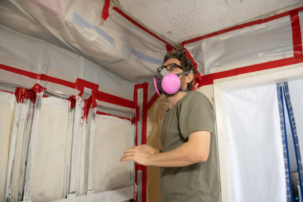 Mold Remediation for Vacation Homes in Belmar, NJ