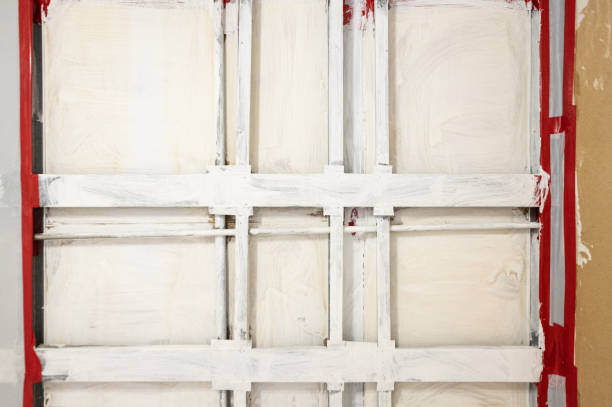 Best Mold Damage Restoration  in Belmar, NJ