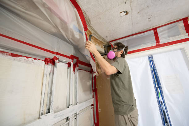 Environmental Consulting for Mold Prevention in Belmar, NJ