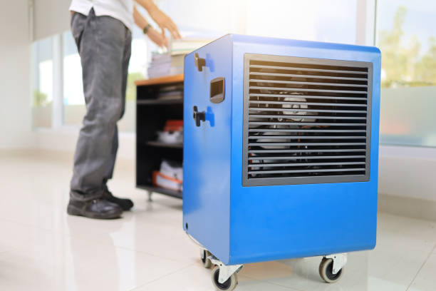 Best Mold Documentation for Insurance Claims  in Belmar, NJ