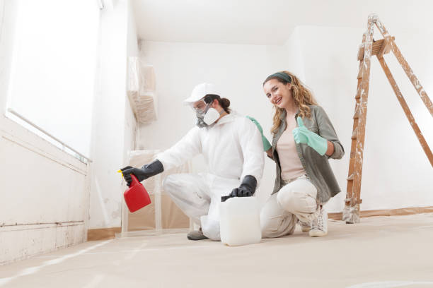Best Mold Remediation for Vacation Homes  in Belmar, NJ